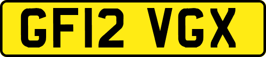 GF12VGX