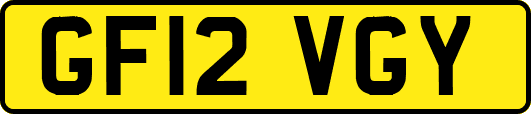 GF12VGY