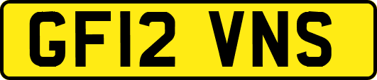 GF12VNS