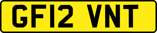 GF12VNT