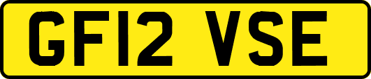 GF12VSE
