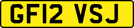 GF12VSJ
