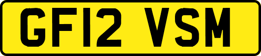 GF12VSM