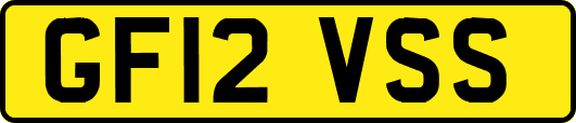 GF12VSS