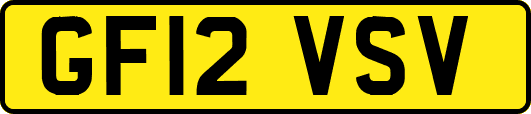 GF12VSV