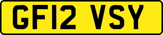 GF12VSY