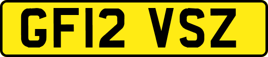 GF12VSZ
