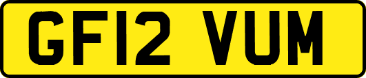 GF12VUM