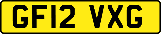 GF12VXG