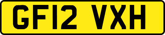 GF12VXH