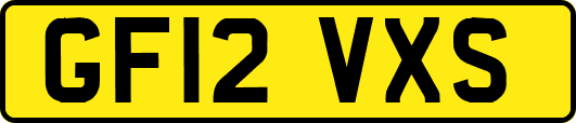 GF12VXS