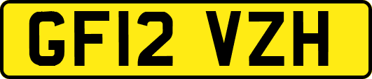 GF12VZH
