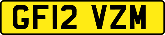GF12VZM