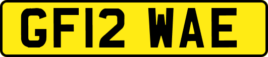 GF12WAE