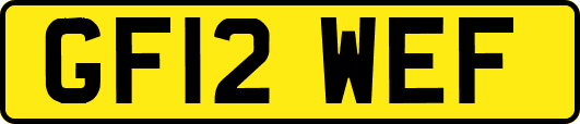 GF12WEF