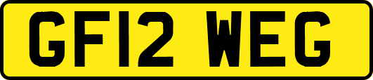 GF12WEG