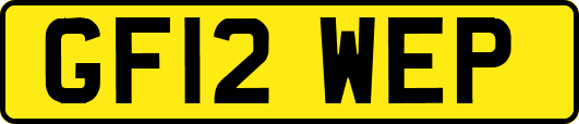 GF12WEP