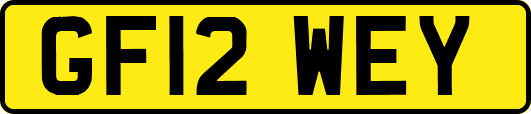 GF12WEY