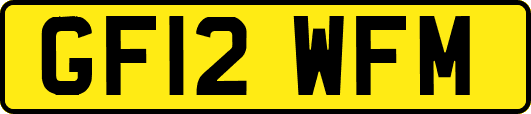 GF12WFM