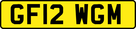 GF12WGM