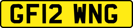 GF12WNG
