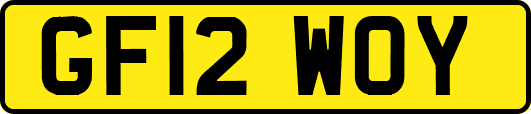 GF12WOY