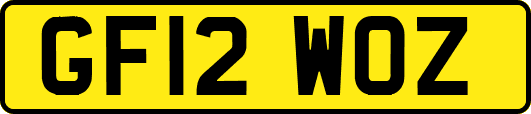 GF12WOZ
