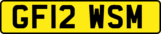 GF12WSM