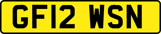 GF12WSN