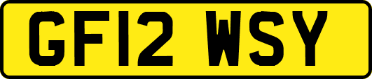 GF12WSY