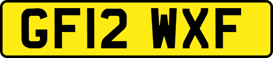 GF12WXF