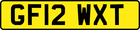 GF12WXT
