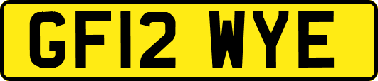 GF12WYE