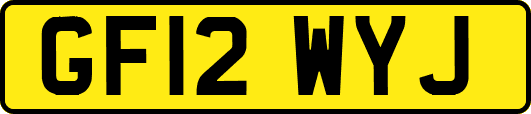 GF12WYJ