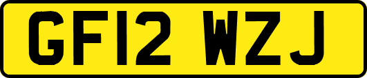GF12WZJ