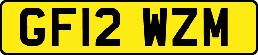 GF12WZM