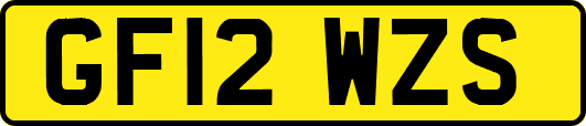 GF12WZS