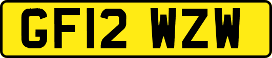 GF12WZW