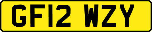 GF12WZY