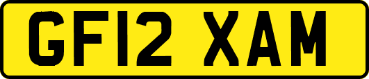 GF12XAM