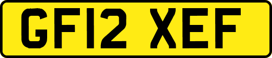 GF12XEF