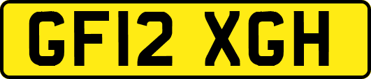 GF12XGH