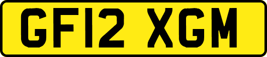 GF12XGM