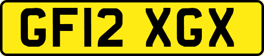 GF12XGX