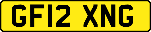GF12XNG