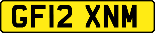 GF12XNM