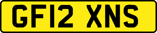 GF12XNS