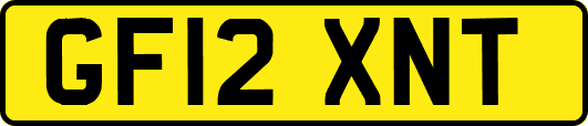 GF12XNT