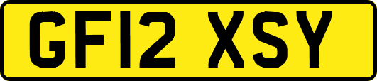 GF12XSY