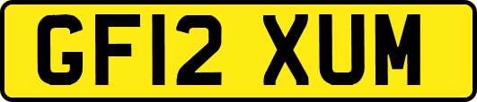 GF12XUM
